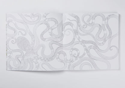 Millie Marotta's Animal Kingdom Colouring Book