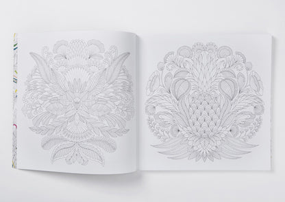 Millie Marotta's Tropical Wonderland Colouring Book