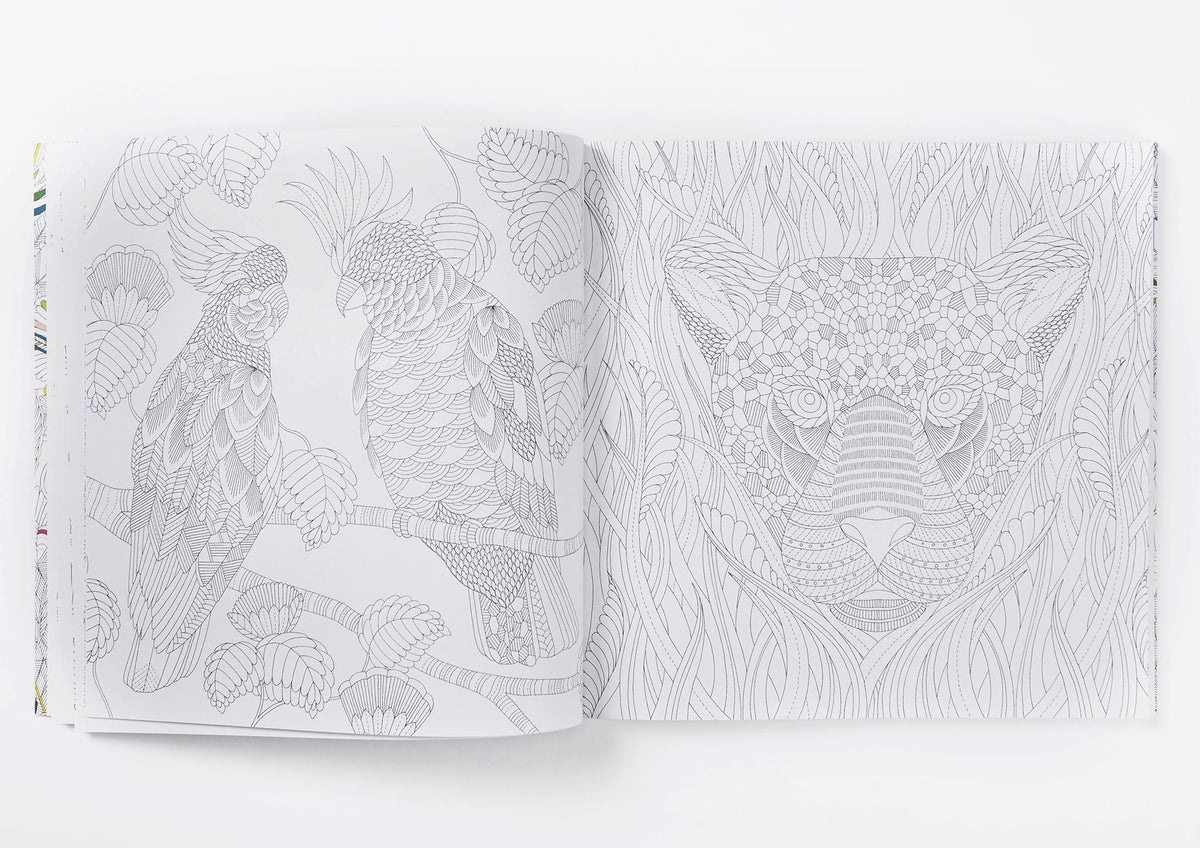 Millie Marotta's Tropical Wonderland Colouring Book