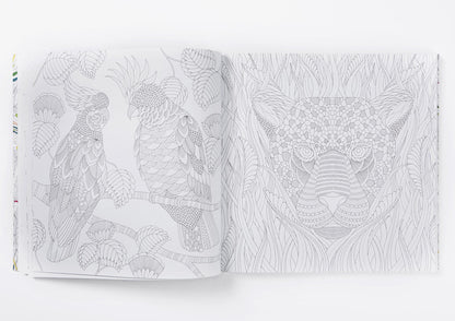 Millie Marotta's Tropical Wonderland Colouring Book