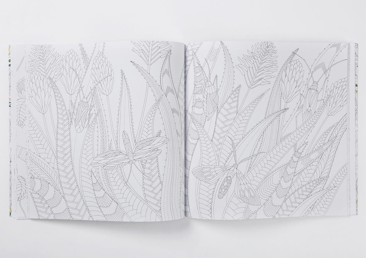 Millie Marotta's Tropical Wonderland Colouring Book