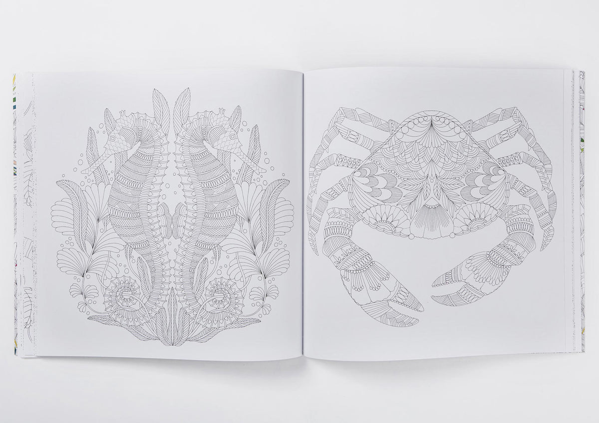 Millie Marotta's Tropical Wonderland Colouring Book