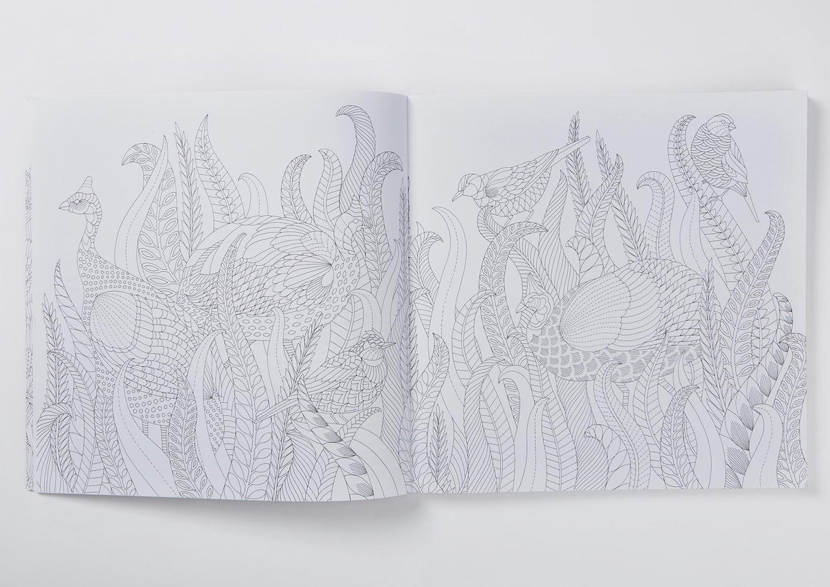 Millie Marotta's Wild Savannah Colouring Book