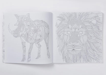 Millie Marotta's Wild Savannah Colouring Book