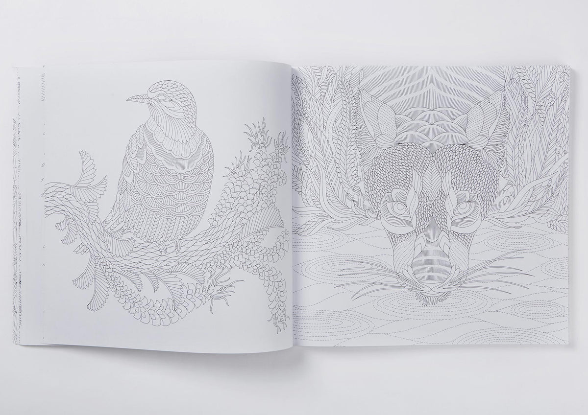 Millie Marotta's Wild Savannah Colouring Book