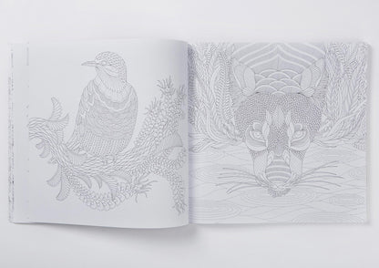Millie Marotta's Wild Savannah Colouring Book