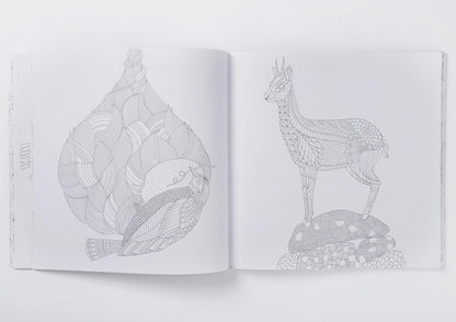 Millie Marotta's Wild Savannah Colouring Book