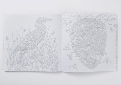 Millie Marotta's Wild Savannah Colouring Book