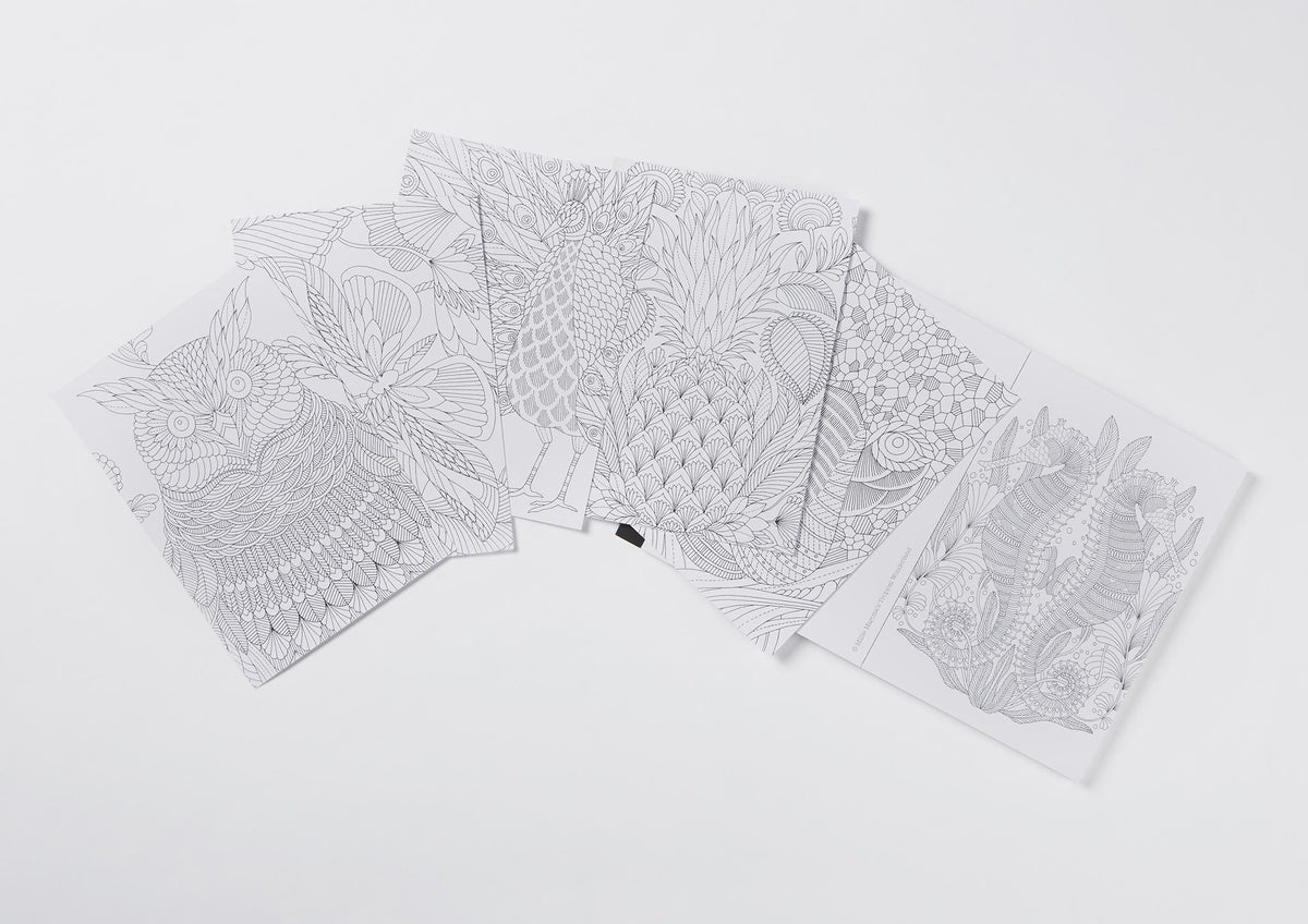 Millie Marotta's Tropical Wonderland Book of 30 Postcards