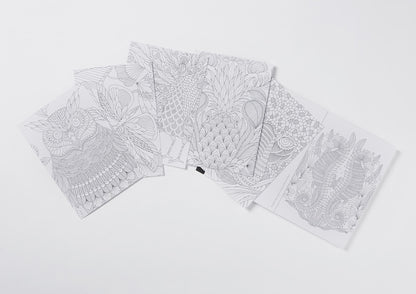 Millie Marotta's Tropical Wonderland Book of 30 Postcards