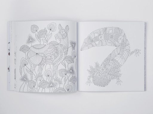 Millie Marotta's Curious Creatures Colouring Book