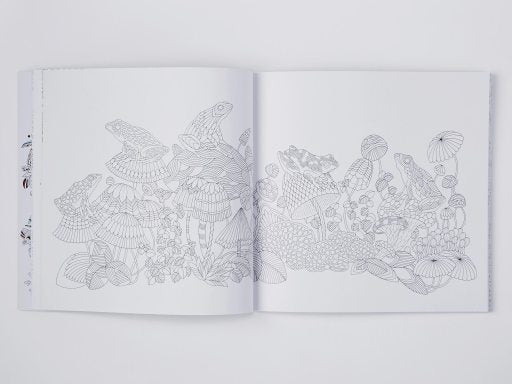Millie Marotta's Curious Creatures Colouring Book