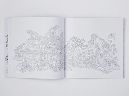 Millie Marotta's Curious Creatures Colouring Book