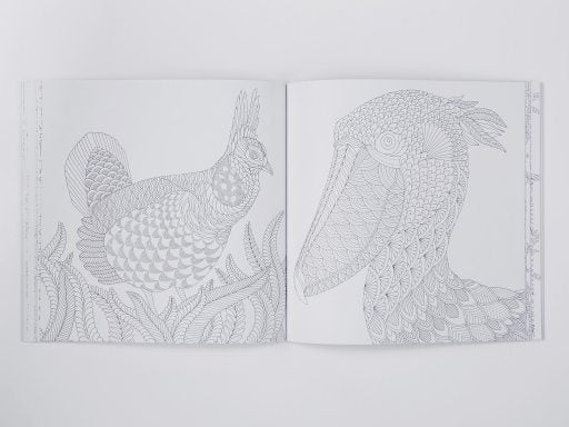 Millie Marotta's Curious Creatures Colouring Book