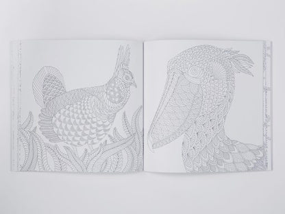 Millie Marotta's Curious Creatures Colouring Book