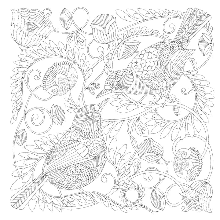 Millie Marotta's Beautiful Birds and Treetop Treasures Colouring Book