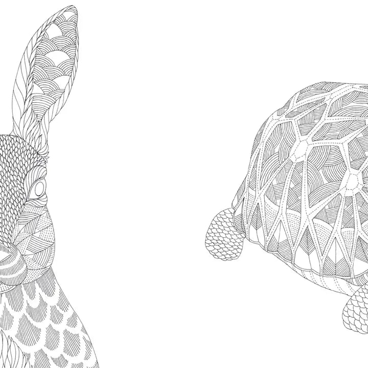 Millie Marotta's Animal Kingdom Pocket Colouring Book