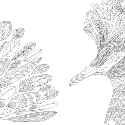 Millie Marotta's Tropical Wonderland Pocket Colouring Book