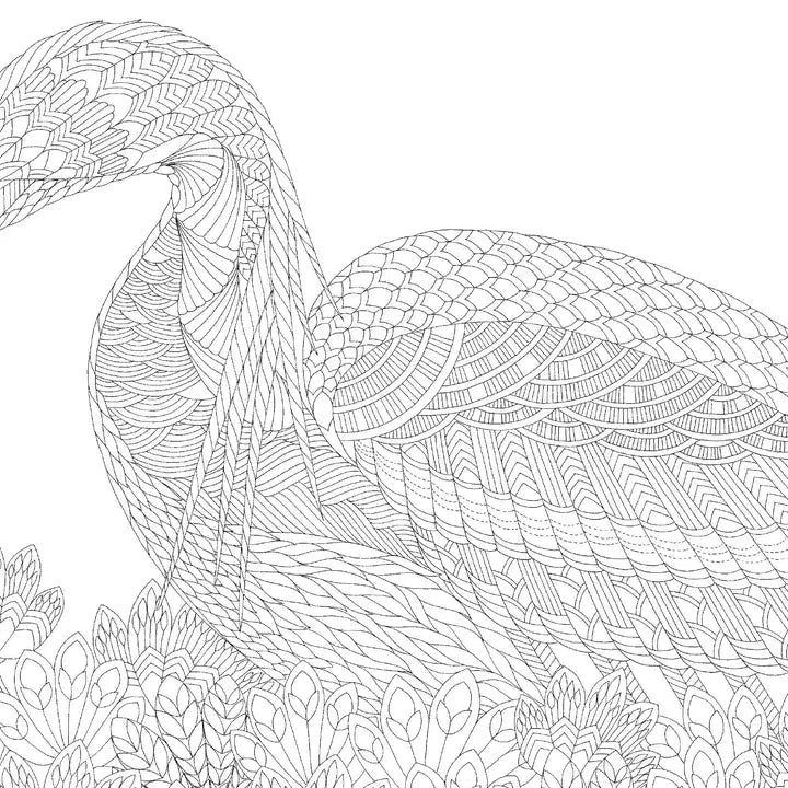 Millie Marotta's Beautiful Birds Pocket Colouring Book