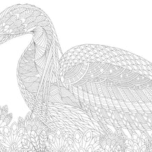 Millie Marotta's Beautiful Birds Pocket Colouring Book