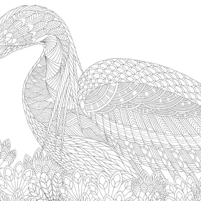 Millie Marotta's Beautiful Birds Pocket Colouring Book