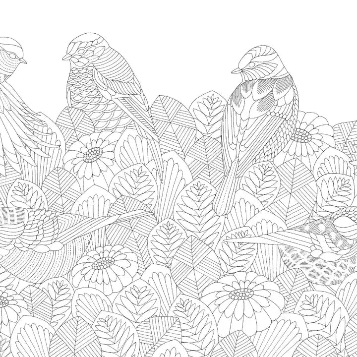 Millie Marotta's Beautiful Birds Pocket Colouring Book