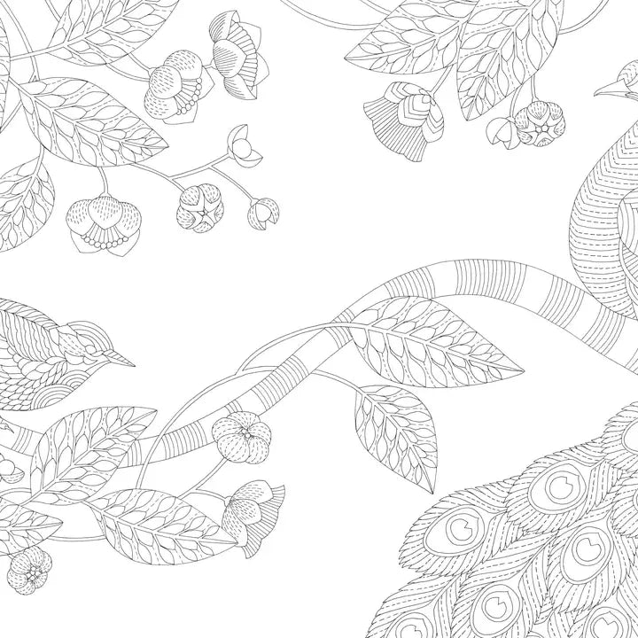Millie Marotta's Woodland Wild Colouring Book