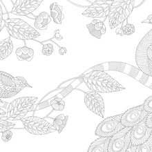 Millie Marotta's Woodland Wild Colouring Book