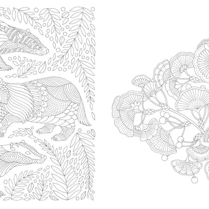 Millie Marotta's Woodland Wild Colouring Book