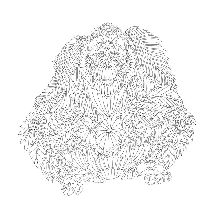 Millie Marotta's Island Escape Colouring Book