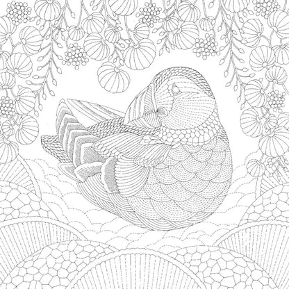 Millie Marotta's Secrets of the Sea Pocket Colouring Book