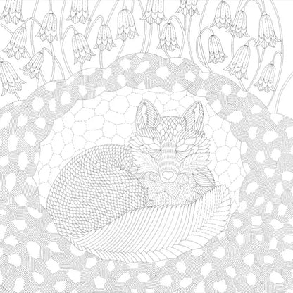 Millie Marotta's Woodland Wild Pocket Colouring Book