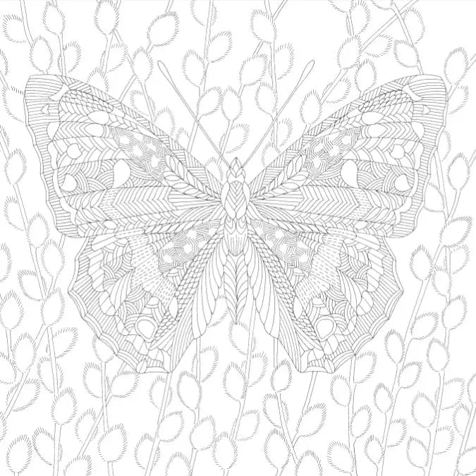 Millie Marotta's Woodland Wild Pocket Colouring Book