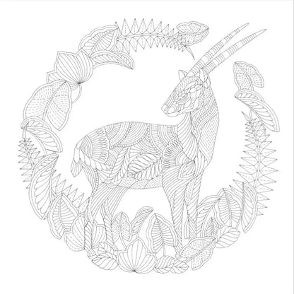 Millie Marotta's Woodland Wild Pocket Colouring Book