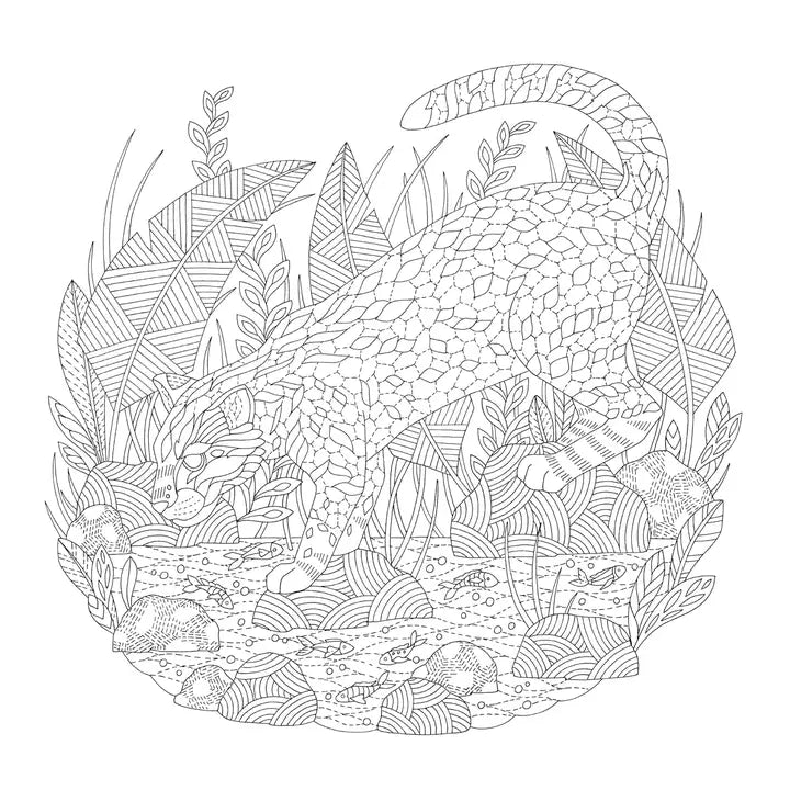 Millie Marotta's Animal Adventures Colouring Book