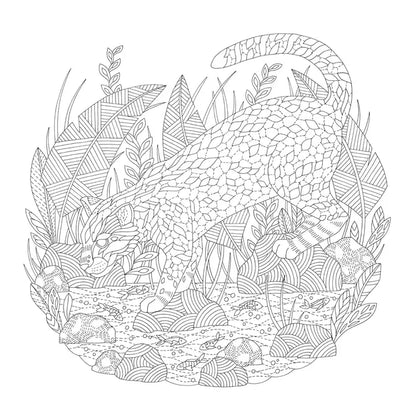 Millie Marotta's Animal Adventures Colouring Book