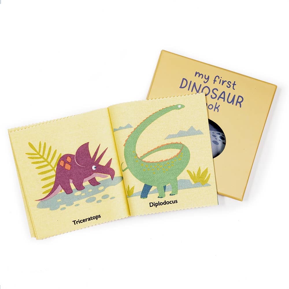 My First Dinosaur Rag Book from ThreadBear Design
