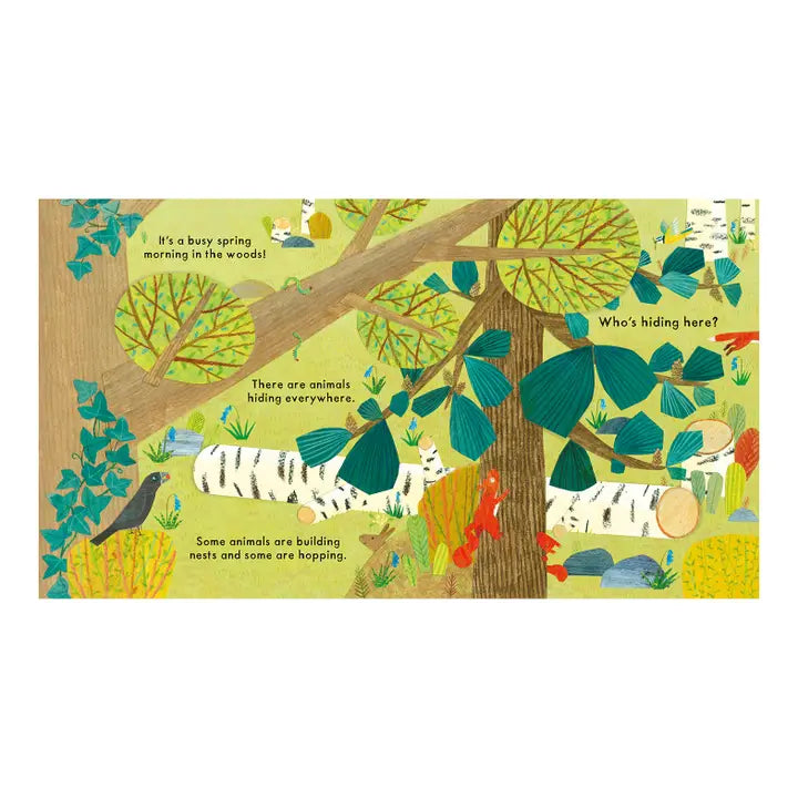 National Trust: Who's Hiding in the Woods? Lift-the-Flap Book