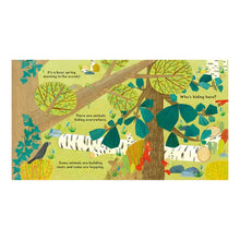 National Trust: Who's Hiding in the Woods? Lift-the-Flap Book