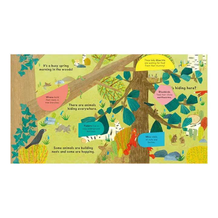 National Trust: Who's Hiding in the Woods? Lift-the-Flap Book