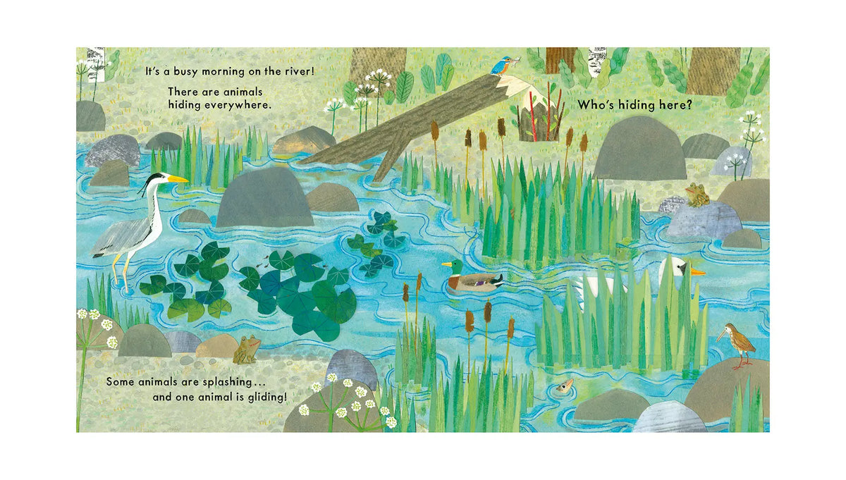 National Trust: Who's Hiding on the River? Lift-the-Flap Book