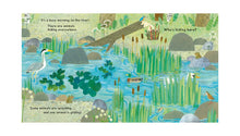 National Trust: Who's Hiding on the River? Lift-the-Flap Book