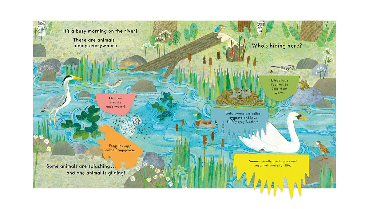 National Trust: Who's Hiding on the River? Lift-the-Flap Book