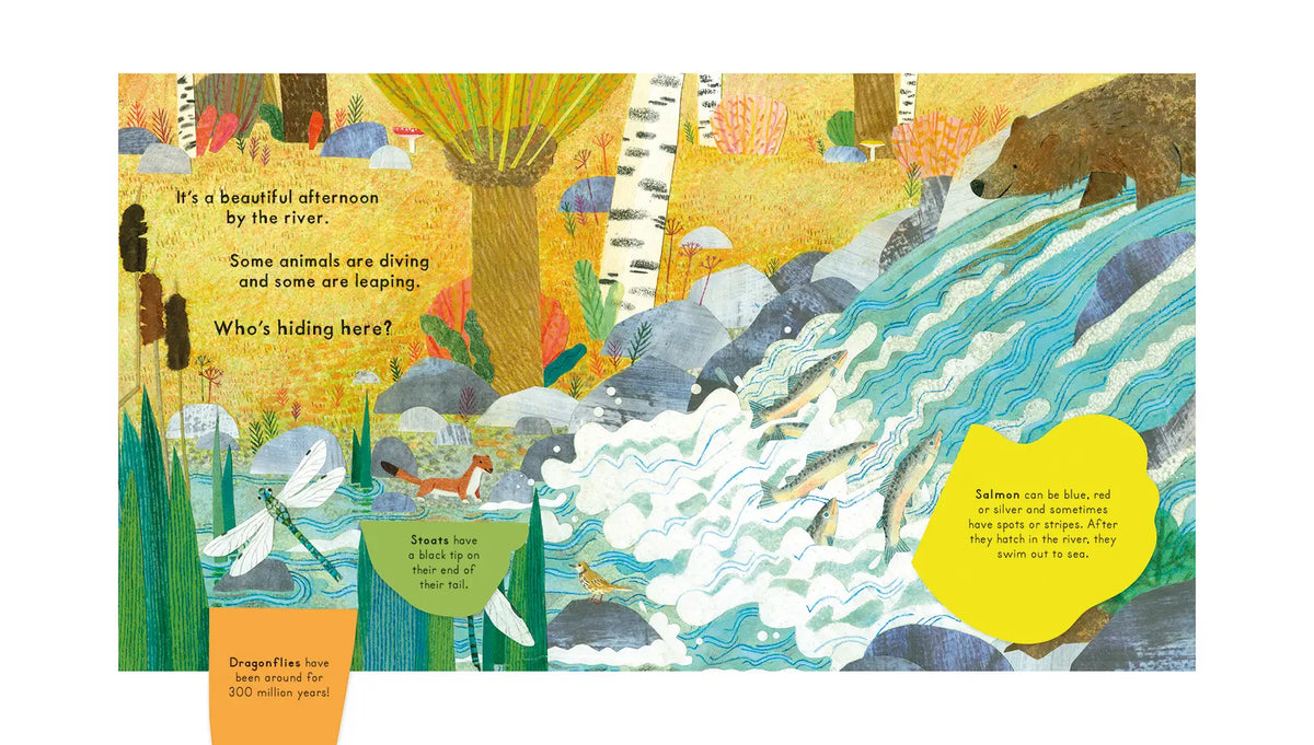 National Trust: Who's Hiding on the River? Lift-the-Flap Book