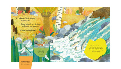 National Trust: Who's Hiding on the River? Lift-the-Flap Book
