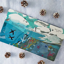 National Trust: Who's Hiding in the Snow? Lift-the-Flap Book