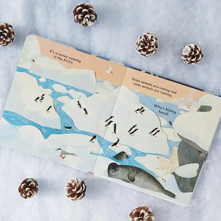 National Trust: Who's Hiding in the Snow? Lift-the-Flap Book