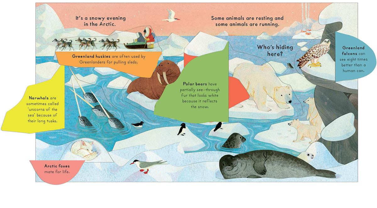 National Trust: Who's Hiding in the Snow? Lift-the-Flap Book