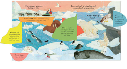 National Trust: Who's Hiding in the Snow? Lift-the-Flap Book