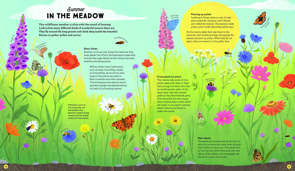 National Trust: A Story of the Seasons Hardback